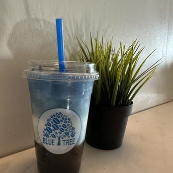Bluetree Cafe - Honolulu - BLueTree Latte - Coffee & Tea Near Me - Honolulu, Hawaii
