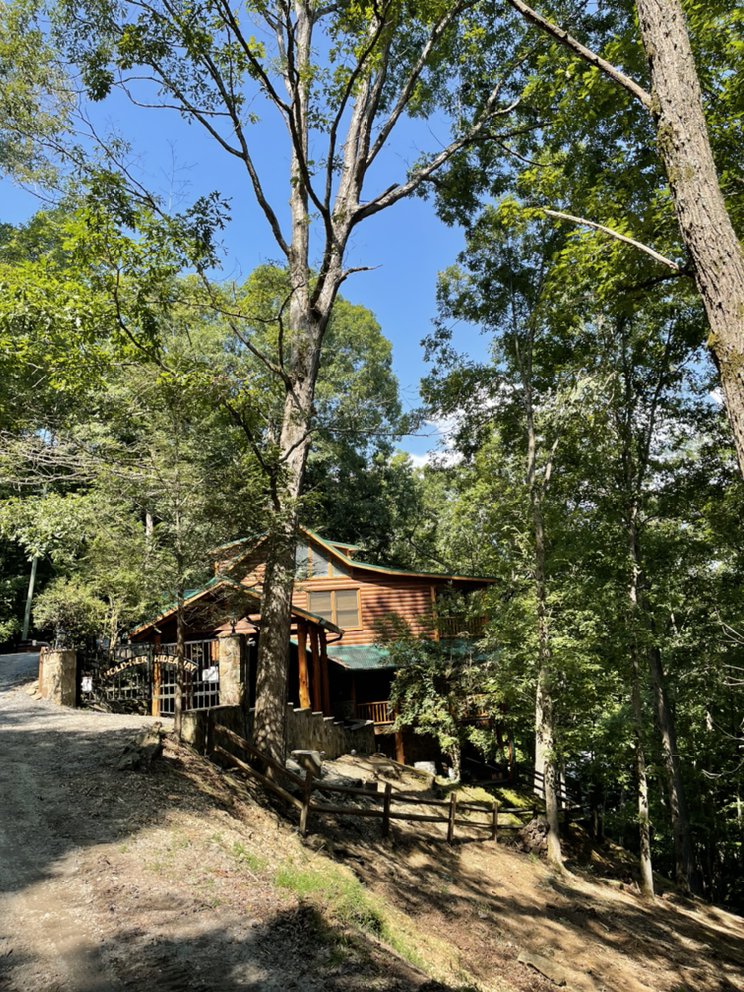 TREEMANN’S TREE SERVICE Updated September 2024 13 Photos Ellijay, Firewood