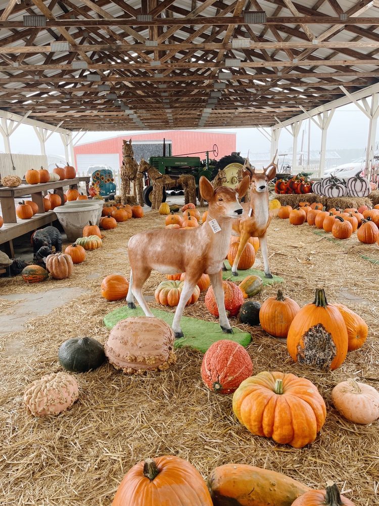 ASHLAND BERRY FARM Nurseries & Gardening 1420 N Parham Rd, Henrico