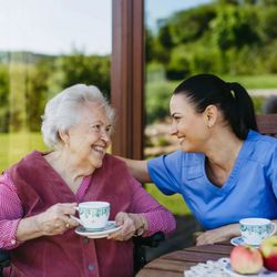 Caring Companions