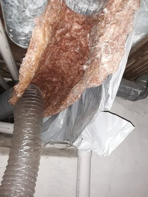 Hoag's Plumbing & Air Conditioning & Heating Logo