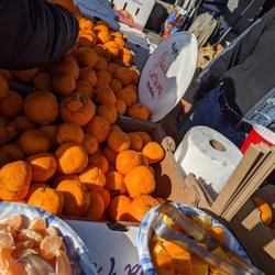 Tory Farms - Mandarins, shelter in place