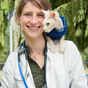 Cottage Lake Veterinary Hospital 34 Reviews Veterinarians
