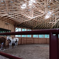 Spirits Promise Horse Rescue