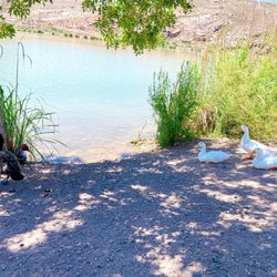 Grandpa's Pond Park