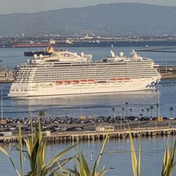 Lookout Point Park - Cruise Ship ready to head on out of port 01-10-2026