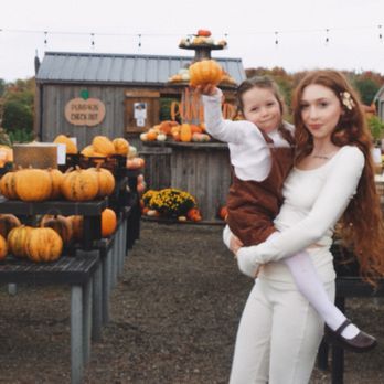 Awald's Giant Pumpkin Farm - Beautiful set up of the gourds, pumpkins and mums - Pumpkin Patches Near Me - North Collins, New York Awald's Giant Pumpkin Farm - Beautiful set up of the gourds, pumpkins and mums - Pumpkin Patches Near Me - North Collins, New York