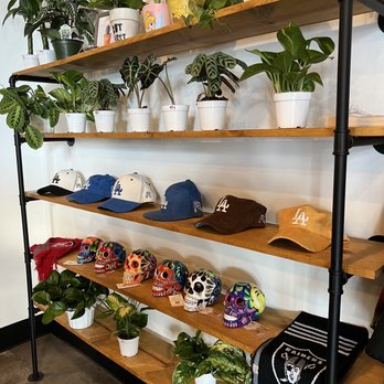 Jesse's Grind Coffee Bar - On the way to the back where you can sit and study - Coffee & Tea Near Me - Winnetka, California Jesse's Grind Coffee Bar - On the way to the back where you can sit and study - Coffee & Tea Near Me - Winnetka, California