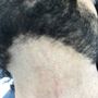 Photo of Xclusive Barbershop