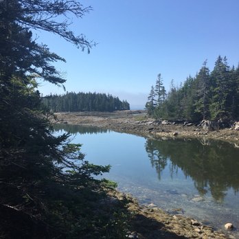 Schoodic Woods Campground - Campgrounds Near Me - Winter Harbor, Maine
