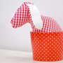 Photo of la fraise rouge