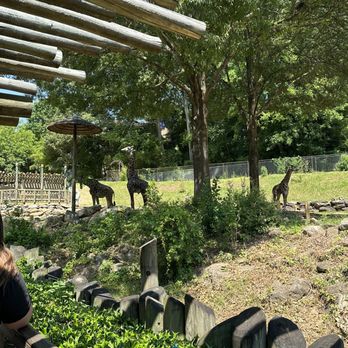 Greenville Zoo - Zoos Near Me - Greenville, South Carolina