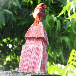 Greenback Castle - Cardinal Visit At the Castle