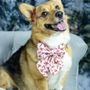 Photo of Orchards Pet Hospital