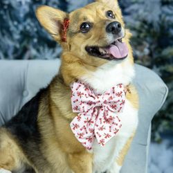 Orchards Pet Hospital - Luna Christmas of 2021