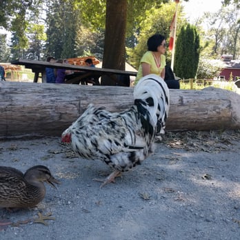 Maplewood Farm - Farms Near Me - North Vancouver, British Columbia