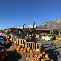 Pettingills Fruit & Produce - Parking along the highway is a little dangerous while pulling out. Use the parking lot.