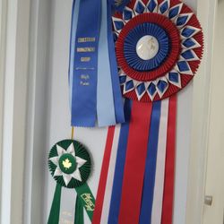 Dominion Regalia