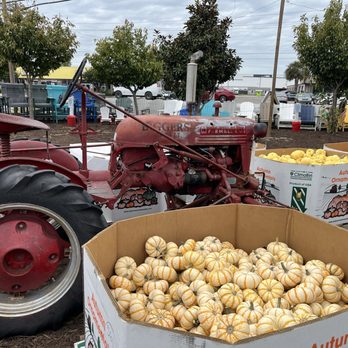 Biggers Market - Farmers Market Near Me - Wilmington, North Carolina Biggers Market - Farmers Market Near Me - Wilmington, North Carolina