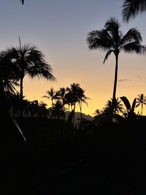 Timbers Kaua‘i - Ocean Club & Residences by null