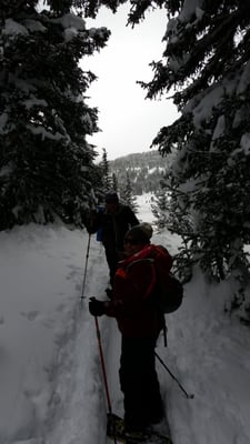 Paragon Guides by null