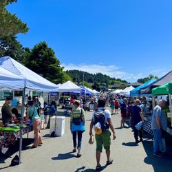 Cannon Beach Farmer's Market - Decent sized market!