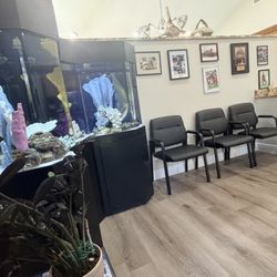 Gilbert Chiropractic Clinic - Waiting area