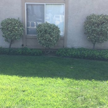 Bemus Landscape - Right or wrong? - Landscaping Near Me - San Clemente, California Bemus Landscape - Right or wrong? - Landscaping Near Me - San Clemente, California