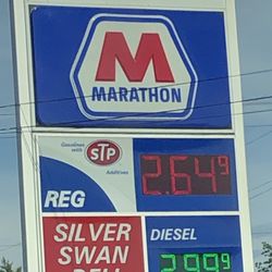 Silver Swan Marathon - Gas