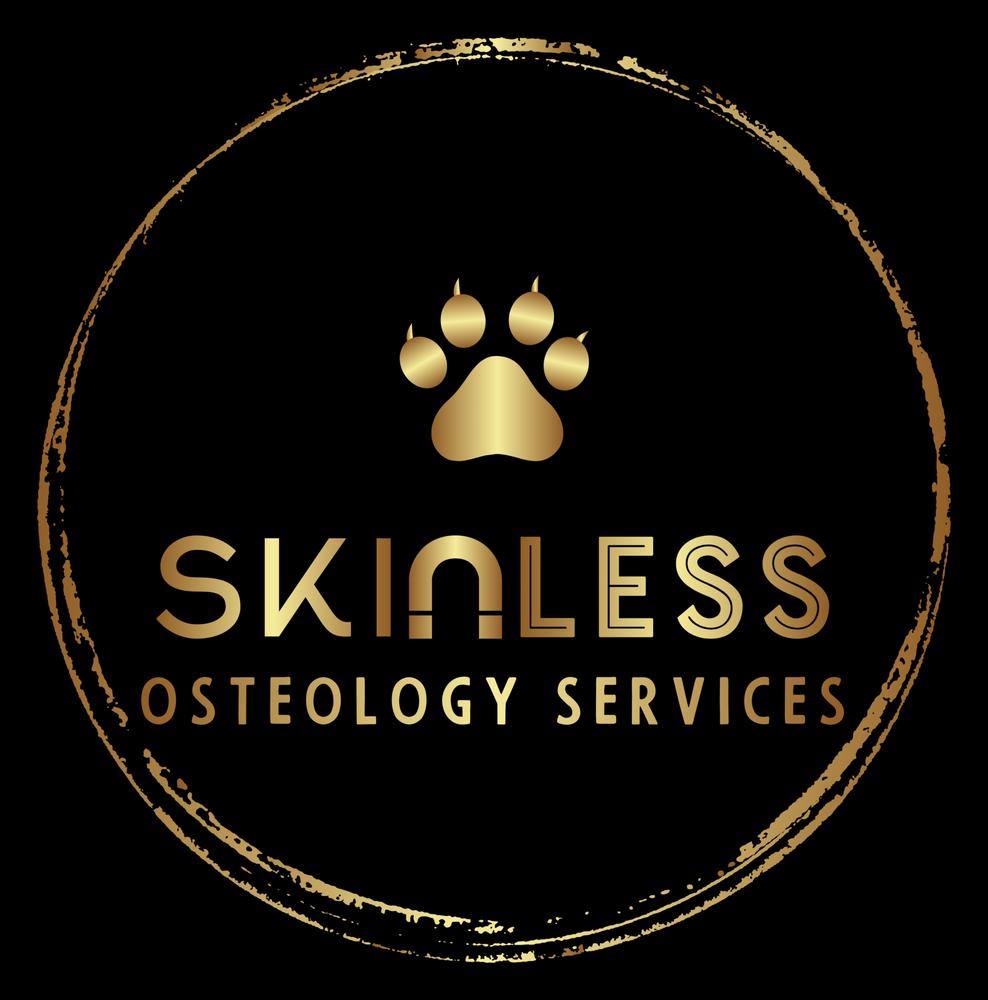 Skinless Osteology Services - taxidermy in Jefferson, NJ