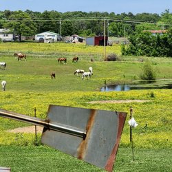Echo Valley Arabians - Echo Valley Arabians offers horseback riding lessons and summer camps for young horse lovers aged 6 to 17!