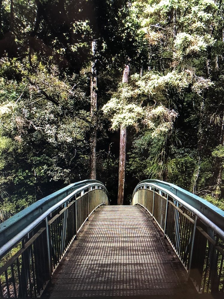 JDB Counseling Service - grief counselor in Omaha, NE