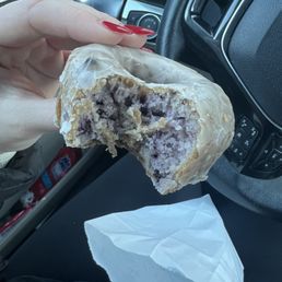 Blueberry Donuts