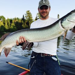 Tennessee Musky Fishing - Tennessee muskies, tennessee, tennessee fishing, musky fishing, muskies inc., muskie, esox, melton hill, oak ridge tennessee, melton hill