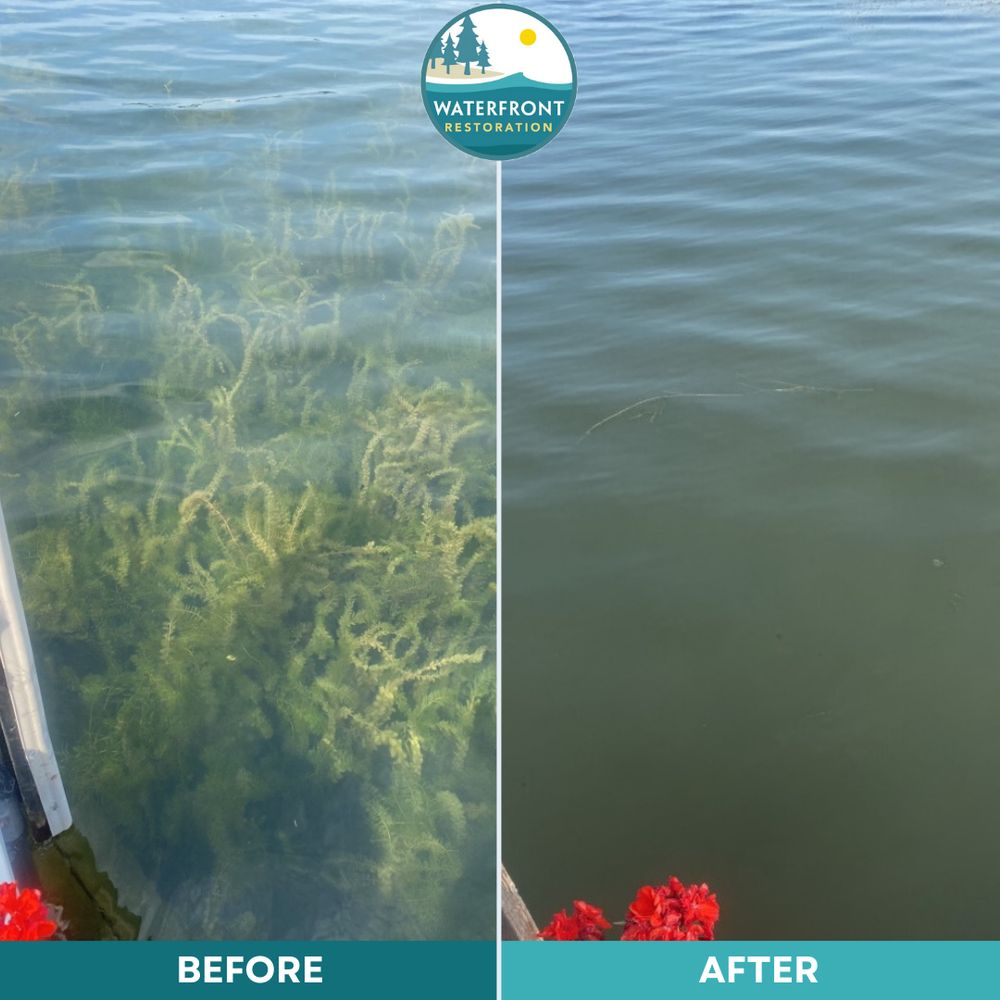 Social spots from Waterfront Restoration