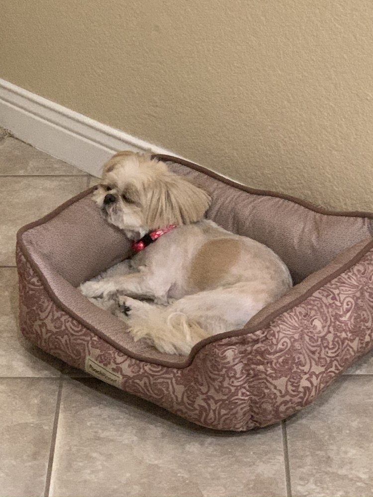 TISH’S GROOMING Pet Groomers 2440 River Rd, Norco, CA Phone