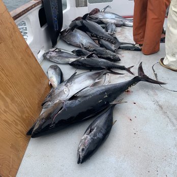 Tackle Express - One cow and a bunch up to 140-150 - Outdoor Gear Near Me - Santa Clarita, California Tackle Express - One cow and a bunch up to 140-150 - Outdoor Gear Near Me - Santa Clarita, California