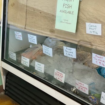 Fishland Fish Market - Fish case - Seafood Markets Near Me - San Antonio, Texas Fishland Fish Market - Fish case - Seafood Markets Near Me - San Antonio, Texas