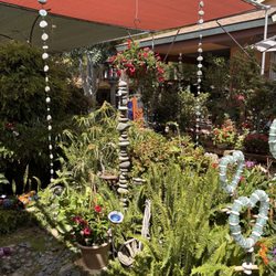 Robby's Nursery & Calico Gardens