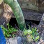 Photo of Roadrunner Enterprises Septic Service