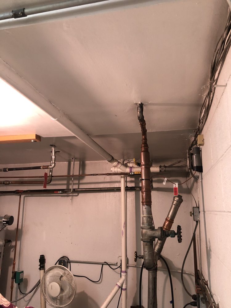 Slide of The Fair Plumber