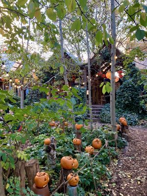 Dalston Eastern Curve Garden by null