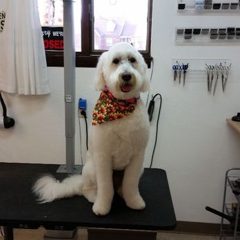 Morgan's Pet Spaw - Pet Groomers Near Me - Irwin, Pennsylvania Morgan's Pet Spaw - Pet Groomers Near Me - Irwin, Pennsylvania