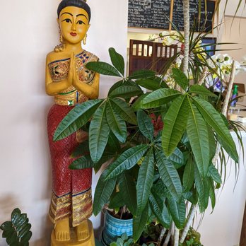 Sweetie Cup Thai Cafe - Thai Near Me - St. Louis, Missouri Sweetie Cup Thai Cafe - Thai Near Me - St. Louis, Missouri