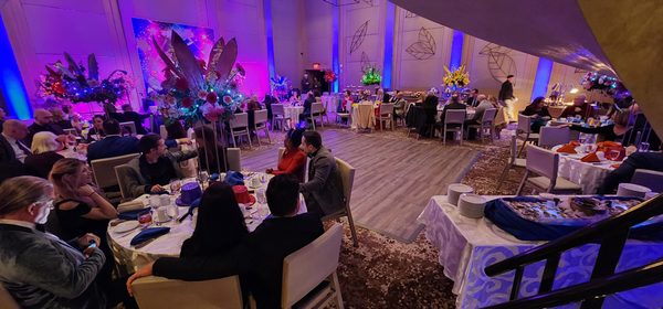 The Eldred Preserve by null