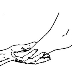 Professional and compassionate care provided