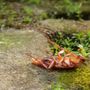 Photo of Rampart Pest Solutions