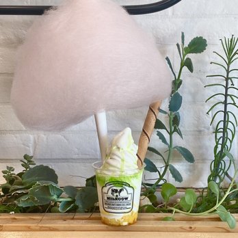 Sweet Cow Cafe - Mango Tree - Ice Cream & Frozen Yogurt Near Me - Pasadena, California Sweet Cow Cafe - Mango Tree - Ice Cream & Frozen Yogurt Near Me - Pasadena, California