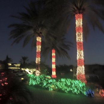 Az Holiday Lighting - Candy cane palms with green bushes - Holiday Decorating Services Near Me - Peoria, Arizona Az Holiday Lighting - Candy cane palms with green bushes - Holiday Decorating Services Near Me - Peoria, Arizona