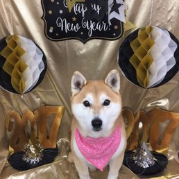 Temari after her first visit! Temari after her first visit!